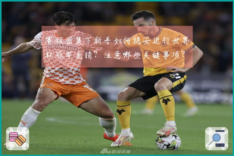 赛程密集下新手如何稳妥进行世界杯冠军竞猜？注意哪些关键事项？