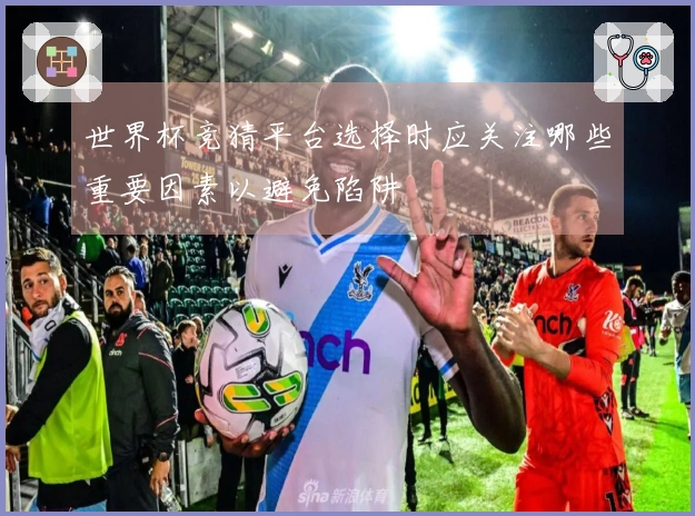 世界杯竞猜平台选择时应关注哪些重要因素以避免陷阱