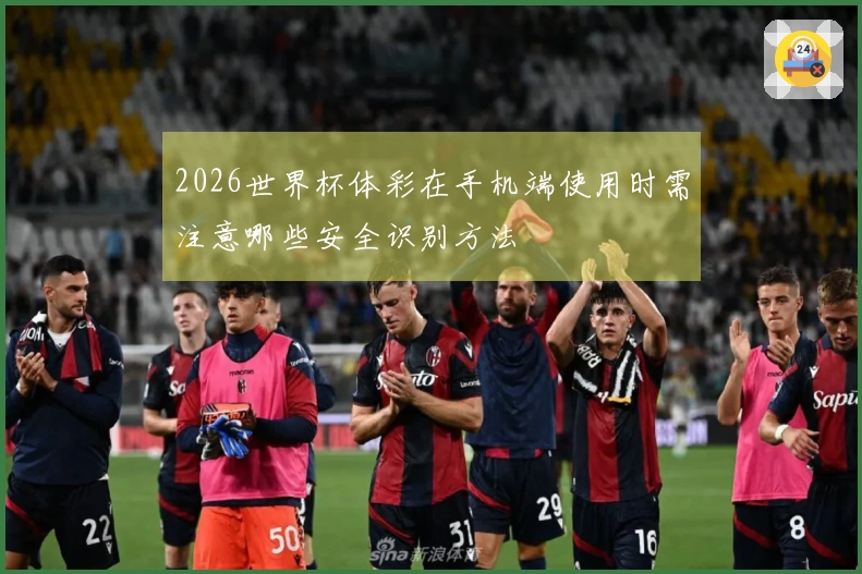 2026世界杯体彩在手机端使用时需注意哪些安全识别方法