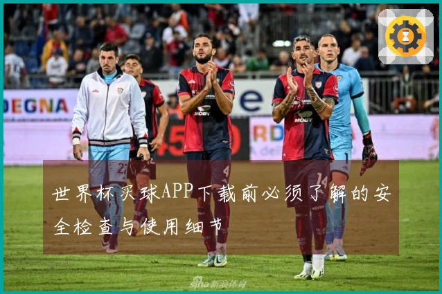 世界杯买球APP下载前必须了解的安全检查与使用细节