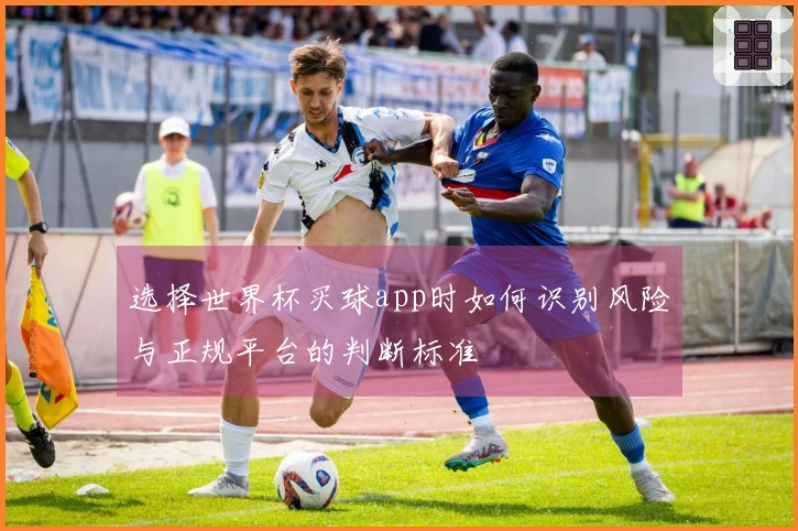 选择世界杯买球app时如何识别风险与正规平台的判断标准