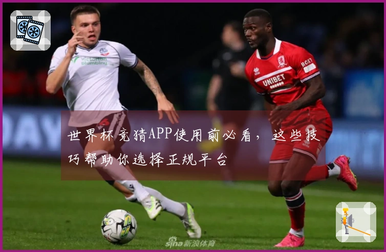 世界杯竞猜APP使用前必看，这些技巧帮助你选择正规平台