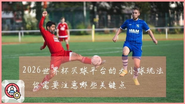 2026世界杯买球平台的大小球玩法，你需要注意哪些关键点