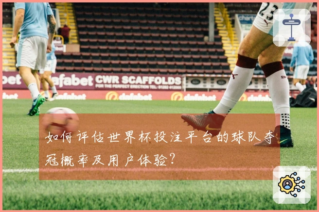 如何评估世界杯投注平台的球队夺冠概率及用户体验？
