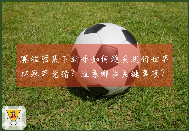 赛程密集下新手如何稳妥进行世界杯冠军竞猜？注意哪些关键事项？