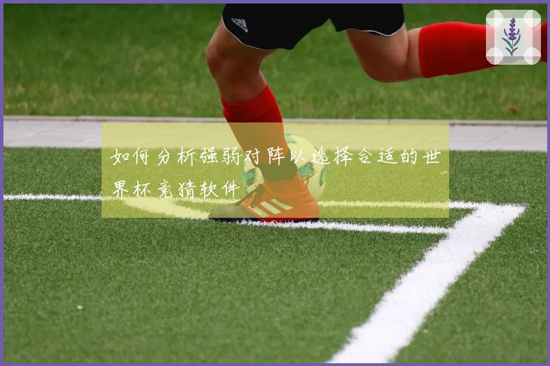 如何分析强弱对阵以选择合适的世界杯竞猜软件