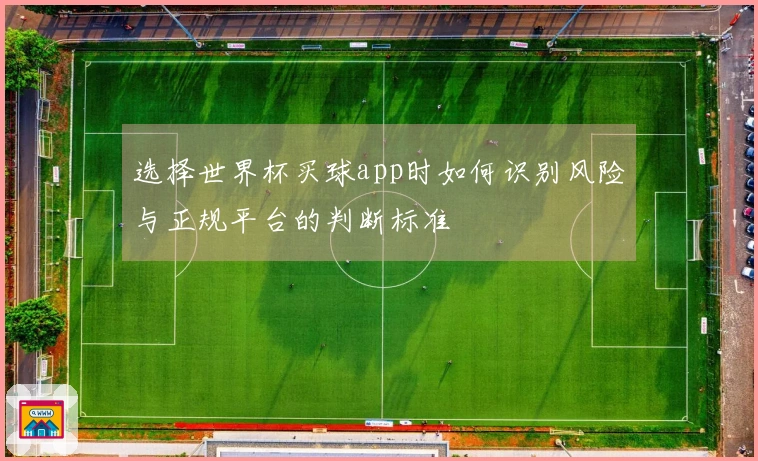 选择世界杯买球app时如何识别风险与正规平台的判断标准