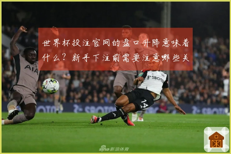 世界杯投注官网的盘口升降意味着什么？新手下注前需要注意哪些关键点？
