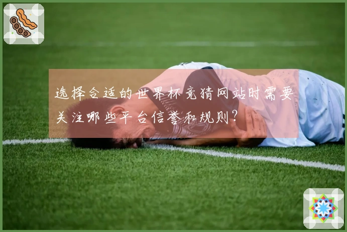 选择合适的世界杯竞猜网站时需要关注哪些平台信誉和规则？