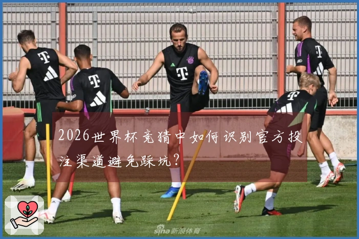 2026世界杯竞猜中如何识别官方投注渠道避免踩坑?