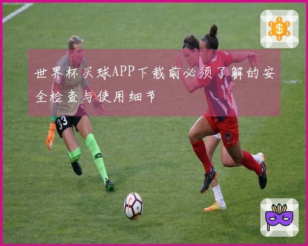 世界杯买球APP下载前必须了解的安全检查与使用细节