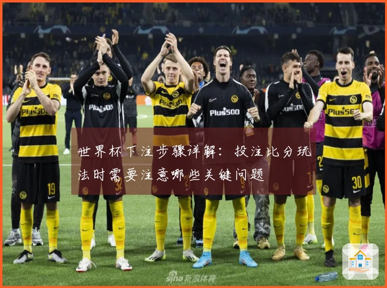 世界杯下注步骤详解：投注比分玩法时需要注意哪些关键问题