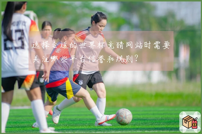 选择合适的世界杯竞猜网站时需要关注哪些平台信誉和规则？