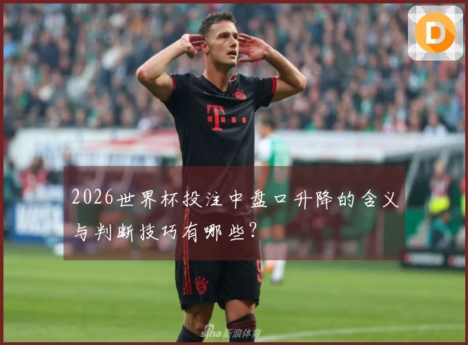 2026世界杯投注中盘口升降的含义与判断技巧有哪些？