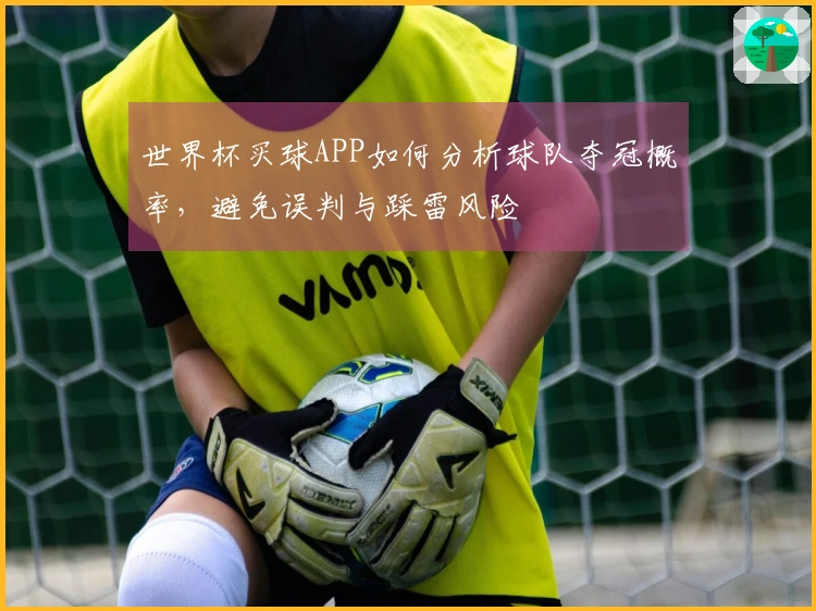 世界杯买球APP如何分析球队夺冠概率，避免误判与踩雷风险