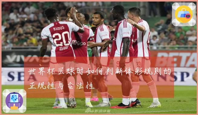 世界杯买球时如何判断体彩规则的正规性与合法性