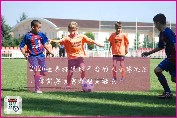 2026世界杯买球平台的大小球玩法，你需要注意哪些关键点