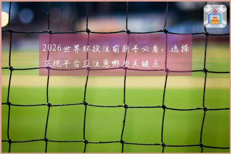 2026世界杯投注前新手必看，选择正规平台应注意哪些关键点
