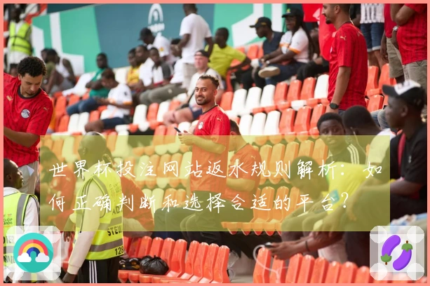 世界杯投注网站返水规则解析：如何正确判断和选择合适的平台？