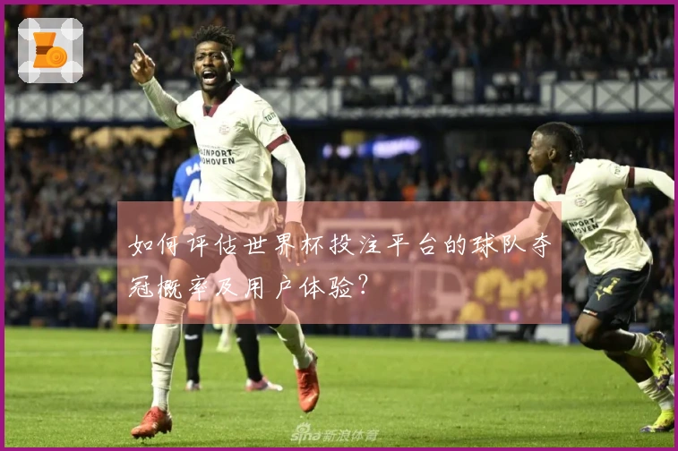 如何评估世界杯投注平台的球队夺冠概率及用户体验？