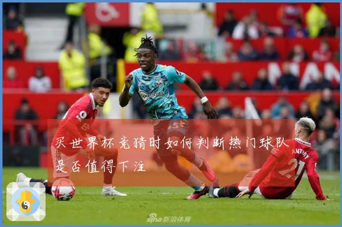 买世界杯竞猜时如何判断热门球队是否值得下注