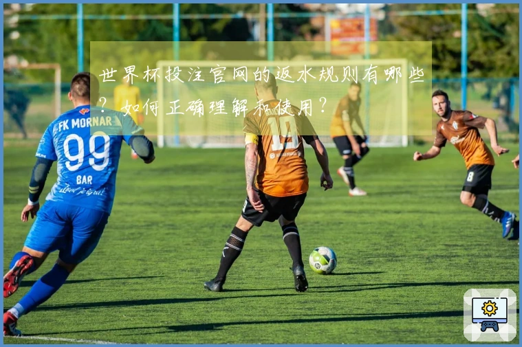 世界杯投注官网的返水规则有哪些？如何正确理解和使用？
