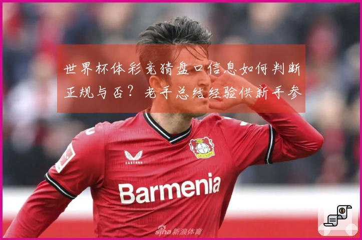 世界杯体彩竞猜盘口信息如何判断正规与否？老手总结经验供新手参考